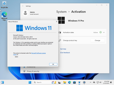 Windows 11 Pro 23H2 Build 22631.3007 (No TPM Required) Preactivated Multilingual January 2024