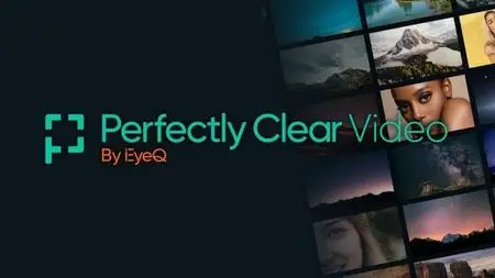 Perfectly Clear Video 4.3.0.2461 (x64) Portable