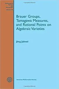 Brauer Groups, Tamagawa Measures, and Rational Points on Algebraic Varieties