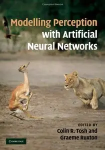 Modelling Perception with Artificial Neural Networks (repost)