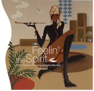 VA - Groovexperience: Feelin' the Spirit (2008)