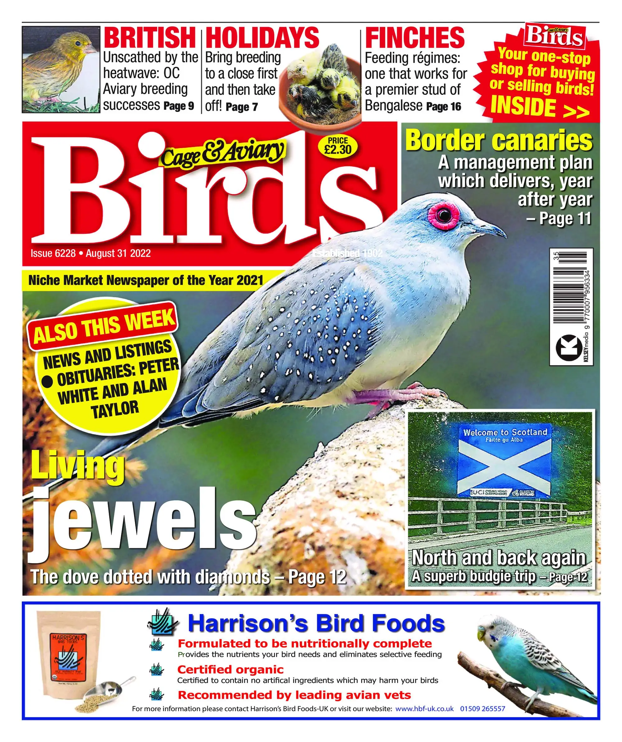 Cage & Aviary Birds – 31 August 2022
