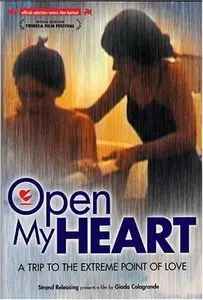Open My Heart (2002)