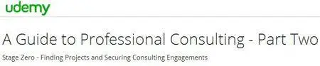 A Guide to Professional Consulting - Part Two