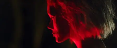 In Fabric (2018)