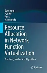 Resource Allocation in Network Function Virtualization: Problems, Models and Algorithms
