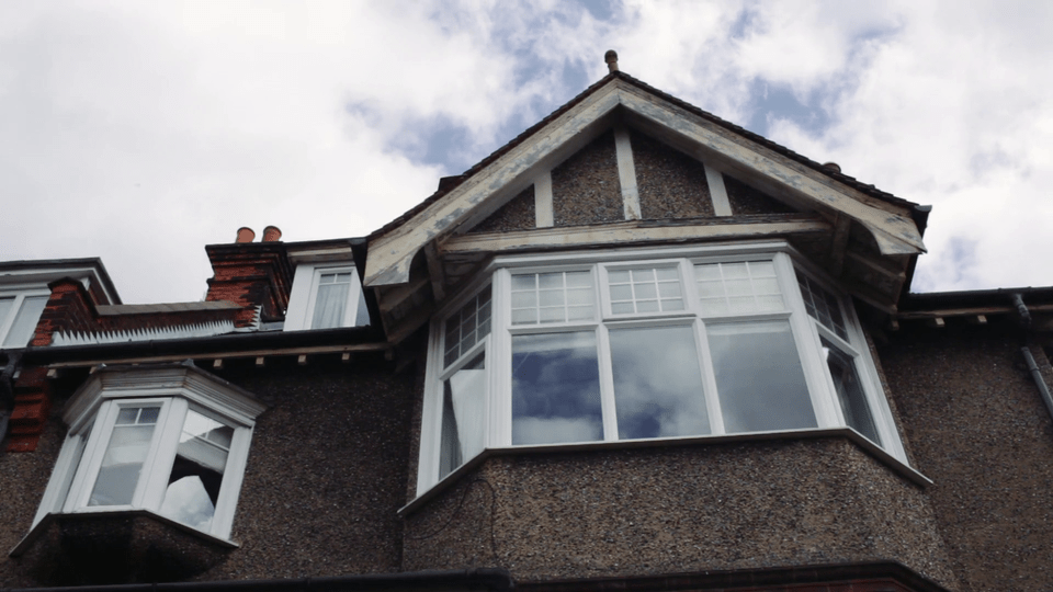 The Colonel's Stray Dogs (2012)