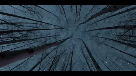 What on Earth? S01E01