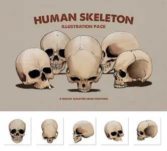 EE - Skeleton Graphic KKCL8PY