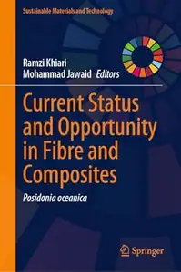 Current Status and Opportunity in Fibre and Composites