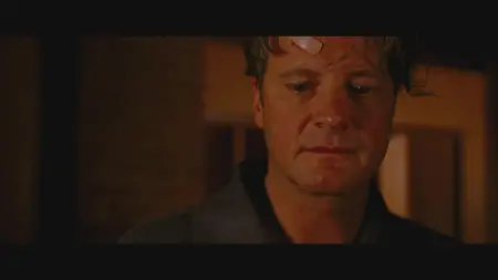 A Single Man (2009)