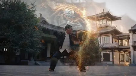 Fierce Tiger Fist Kung Fu, Learn The Power Of The Tiger