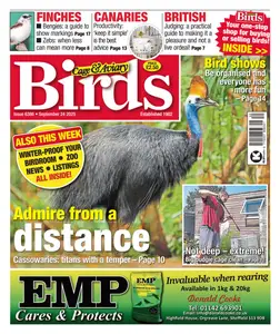 Cage & Aviary Birds - 24 September 2025