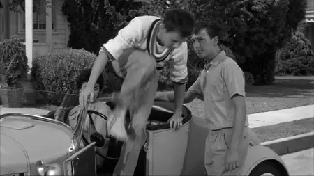 The Shaggy Dog (1959)