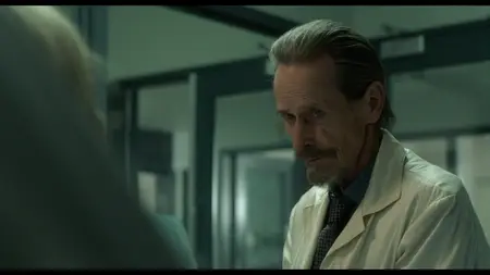 Rabid (2019)