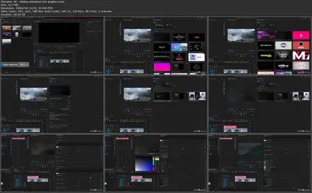 Premiere Pro for Social Media Content [Repost]