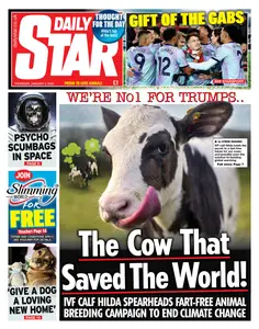 Daily Star - 2 January 2025