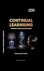 Continual Learning: Principles, Practice, and Frameworks
