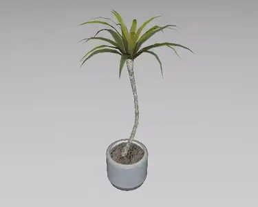 3DSKY - Indoor plant 56 vase handmade pottery plant tree pot