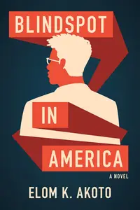 Blindspot In America: A Novel