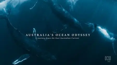 ABC - Australia's Ocean Odyssey: A Journey Down The East Australian Current: The Sub-Tropical Zone (2020)