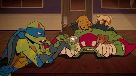 Rise of the Teenage Mutant Ninja Turtles S02E33