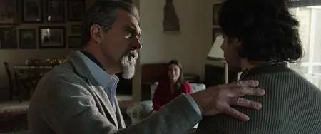 La musica del silenzio (2017)