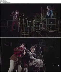 Into the Woods (2011)
