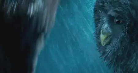 Legend of the Guardians: The Owls of Ga'Hoole / Легенды ночных стражей (2010)