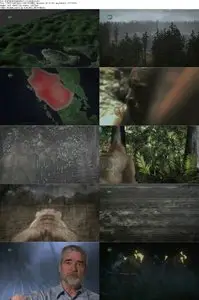 Animal Armageddon S01E07 Fire & Ice (2009)