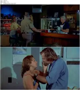 The Giant Spider Invasion (1975)