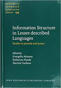 Information Structure in Lesser-described Languages