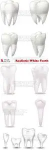 Vectors - Realistic White Teeth