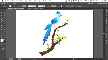 Learning Adobe Illustrator CC Training Video [repost]