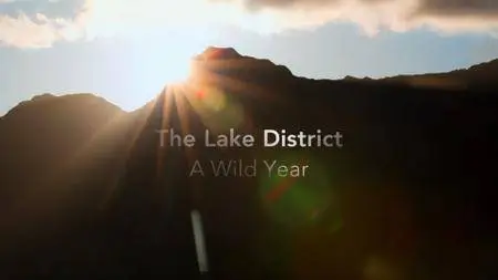 BBC - The Lake District: A Wild Year (2017)