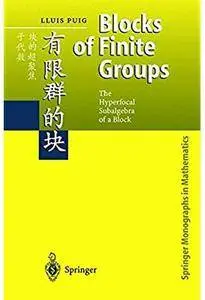 Theory of Blocks of the Finite Groups [Repost]