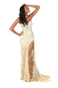 Miss Universe 2011 – Evening Gown Portraits