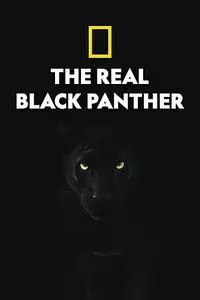 The Real Black Panther (2020)