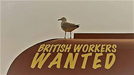 Channel 4 - British Workers Wanted (2017)