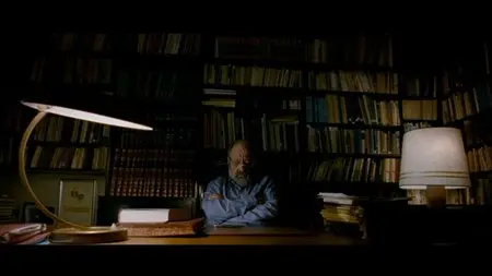 Hearat Shulayim / Footnote (2011)