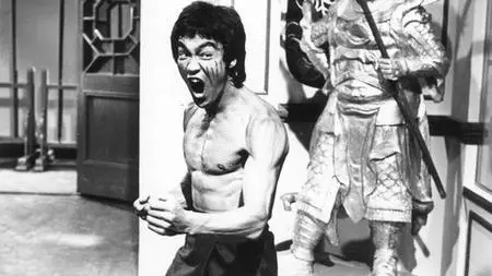 O Jeet Kune Do de Bruce Lee, a ideia - Mude sua vida!