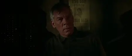 The Professionals (1966)