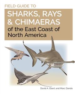 Field Guide to Sharks, Rays and Chimaeras of the East Coast of North America (Wild Nature Press)