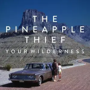 The Pineapple Thief - Your Wilderness (2016) [DVD-Audio to FLAC 24-96)