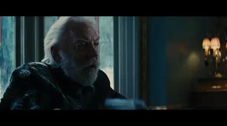 Hunger Games - La Ragazza di Fuoco (2013)