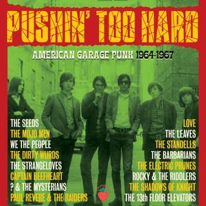 VA - Pushin' Too Hard (American Garage Punk 1964-67) (2024)