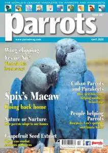 Parrots - April 2020