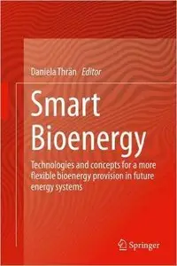 Smart Bioenergy: Technologies and concepts for a more flexible bioenergy provision in future energy systems