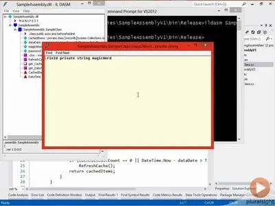 Pluralsight - Practical Reflection in .NET