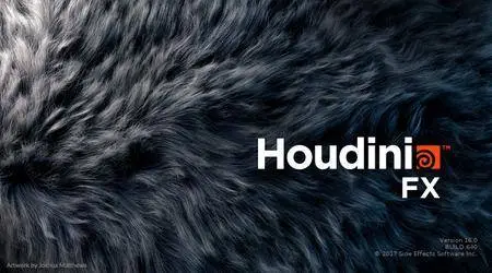 SideFX Houdini FX 16.0.640 (x64)